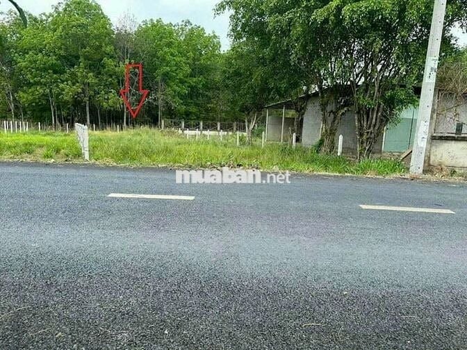 Bán lô 153m2 đất giá 900tr, Đ. Liêu Bình Hương, TT Củ Chi, SHR