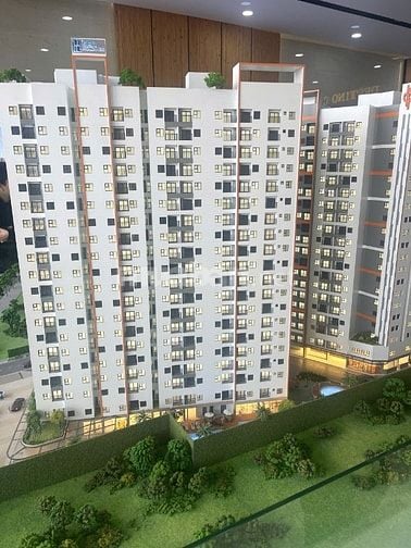 Căn Hộ Destino Tháp Cielo 1PN 1WC view Hồ Bơi Nội Khu Mát Mẻ Giá Tốt