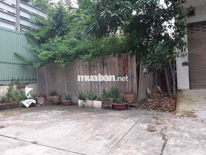🌺🌺Cần bán nền đất đường 12m Nguyễn quý Yêm- An lạc- quận bình Tân  💰💰G
