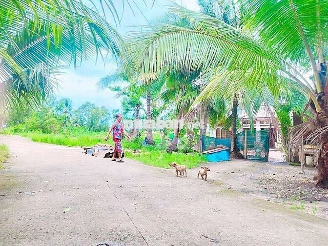 BÁN 2700M2 ĐẤT - 188M2 THỔ CƯ - GIÁ : 3.1TR/M2 !