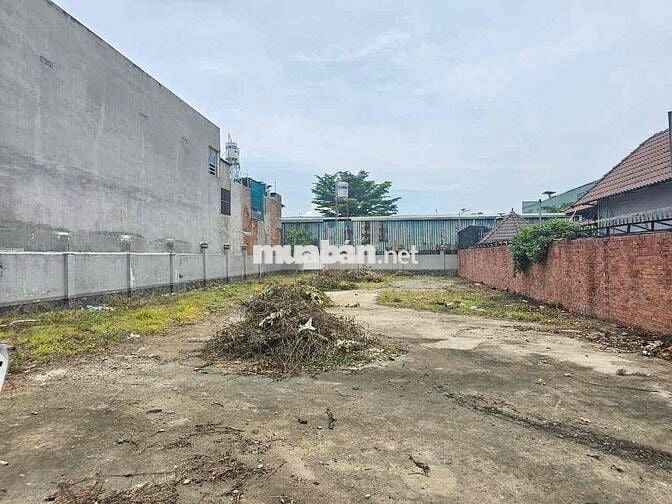 Đất gần KDC Tứ Hải, Phường Tân Đông Hiệp, Tp Dĩ An.