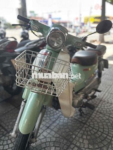 cub 50 cc