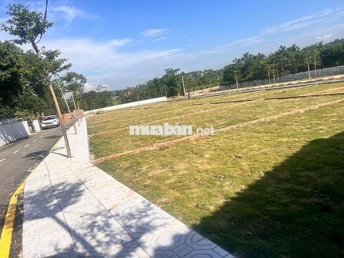 bán nhanh dt 100m fun tc đường rộng oto Chánh nhau