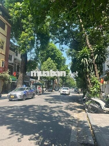 Bán nhà mặt phố Ngô Thì Nhậm - KINH DOANH - VỈA HÈ RỘNG - MẶT TIỀN 6m