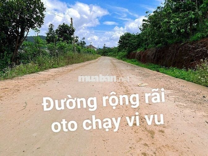 🌸 MỞ CỬA NHÌN RA ĐỒI THÔNG –GẦN ĐÀ LẠT - Chỉ 7xxtr 🌸