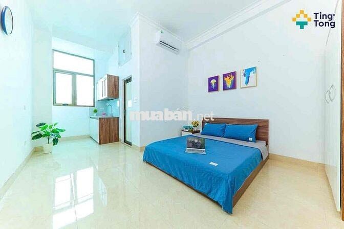 SIÊU PHẨM OTO ĐỖ CỬA VŨ TÔNG PHAN - BÙI XƯƠNG TRẠCH