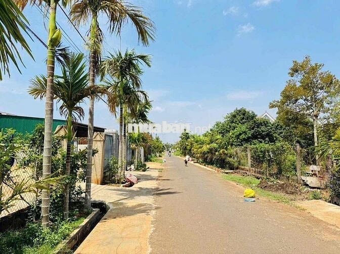 🎉🎉 CHÂN DÀI MẶT TIỀN ĐƯỜNG NHỰA 22B , HOÀ THUẬN, BMT