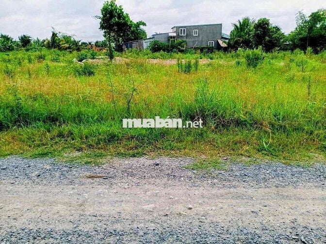 Bán lô đất 43x40m, 1/ Bàu sen, xe tải vô được, Đức Lập, Long An