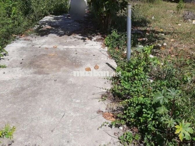 🍀🍀 Bán lô đất xã Vĩnh Trung- P.Tây Nha Trang.
- Diện tích : 72,6m2