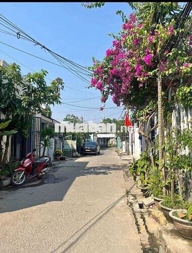 ✅Bán dãy trọ có 6 phòng,giá rẻ phường Cẩm Lệ,Gần đường CMT8.