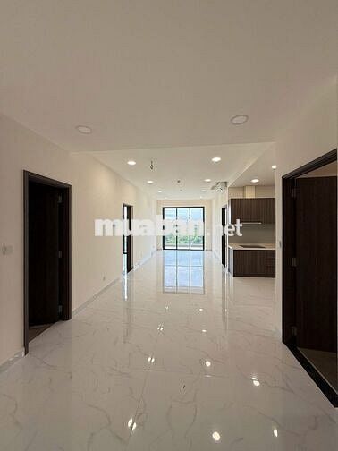 Cần cho thuê căn hộ cao cấp Diamond Centery - NTCB giá 18tr/ tháng
