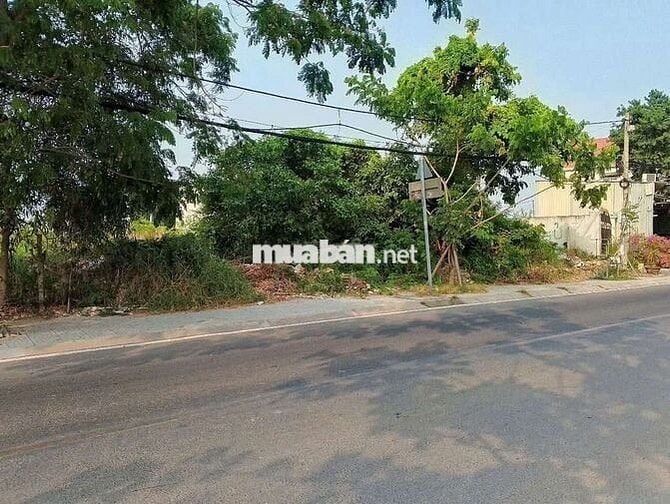 Đất nền mặt tiền đường Nguyễn Bình, 238 m2 . Giá 55 triệu/m2