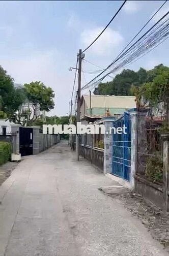 BÁN ĐẤT HÓC MÔN - XE TẢI ĐẬU CỬA - DT KHỦNG - GIÁ RẺ.
