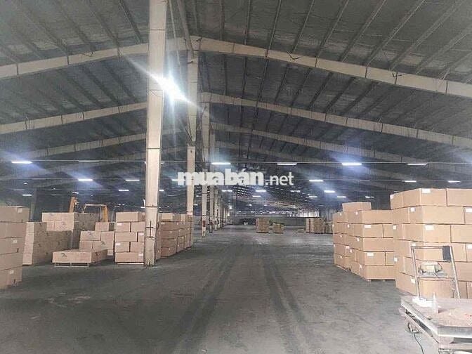 cho thuê 5600m nhà xưởng sản xuất gỗ phun sơn - tân uyên bình dương