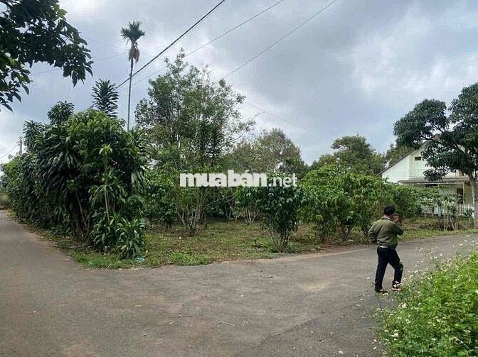 Cần Bán Đất Phường Lộc Nga Bảo Lộc