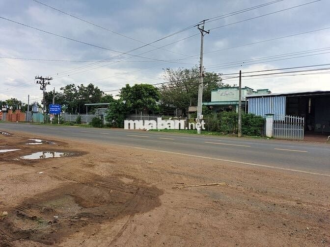 Sư cô miền Tây cần tiền làm công việc thiện nên bán lô đất