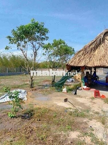 🌿 BÁN NHÀ VƯỜN VIEW KÊNH PHƯỚC HÒA – XÃ THÁI MỸ, CỦ CHI, TP.HCM 🌿