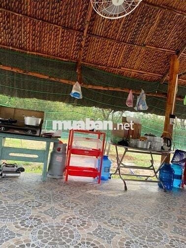 Bán nhà vườn Thái Mỹ - Củ Chi: 954m2(24x37) - 300m2 thổ cư. Giá 2tỷ200