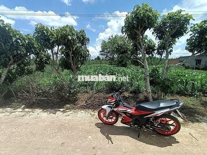 Chính chủ Đất Thổ Cư Tân Hội, cách chợ Tân Hội 5p, ra Liên Nghĩa 10p