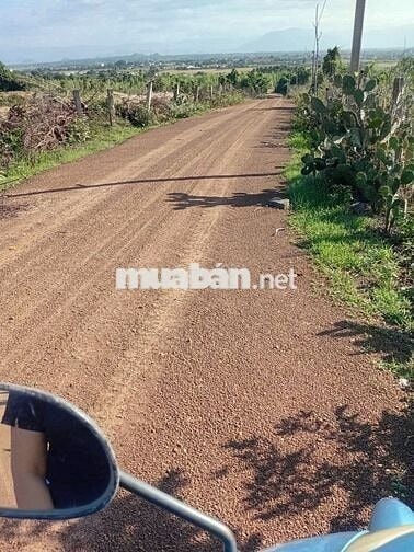 KẸT! BÁN ĐẤT BẮC BÌNH  4.854m2 -430 TR -Đất có Đường ,gần KDC,QL1