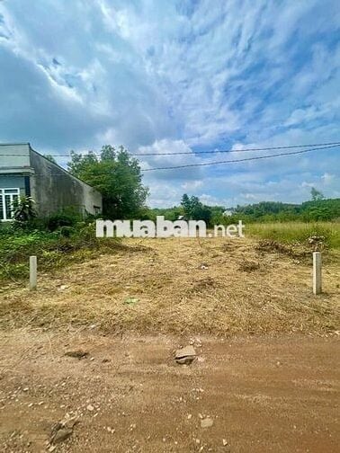 Bán gấp! 200m2 đất thổ cư đường thông cách kcn Xuân Lộc 100m