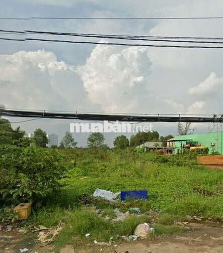 Lục đục chia tài sản cần bán lô đất MT Hưng Long-An Phú TâyBình Chánh