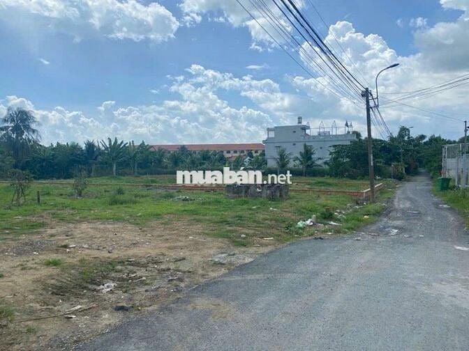 Chính chủ cần bán lô đất ngay chợ bình chánh,đường tập đoàn 8.Sổ Riêng