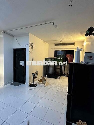 Căn hộ 1PN Thái An mới sơn lại 46m2