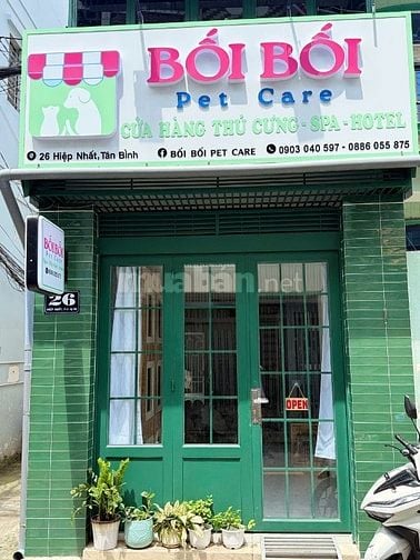 Chăm sóc thú cưng, lưu trú thú cưng khu vực Tân Bình