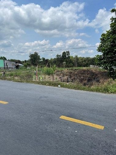 Bán Đất 1696M2 Có 139M2 Thổ,19Mx89M,Mặt Tiền ĐT829 Tân Thạnh Long An 