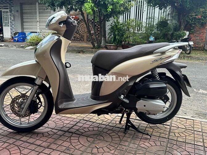 xe 9 chủ it su dụng