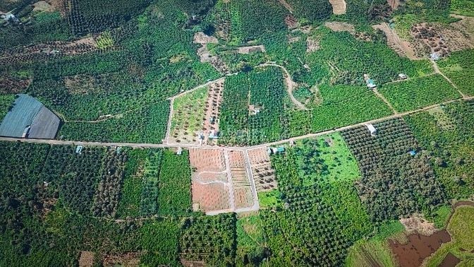 Đất Di Linh gần Đà Lạt sổ hồng riêng có ngay, giá ưu đãi chỉ 658tr