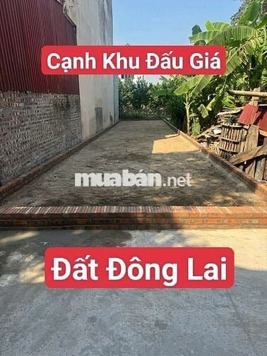 Đất Quang Tiến Đông Lai Ngay gần khu đấu giá đón sóng đường 1500 tỷ