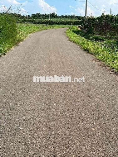 bán đất Đá Bạc  Đường nhựa sát tỉnh lộ vòng xoay ngã 6