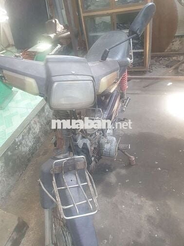 Bán Dream thái 1996