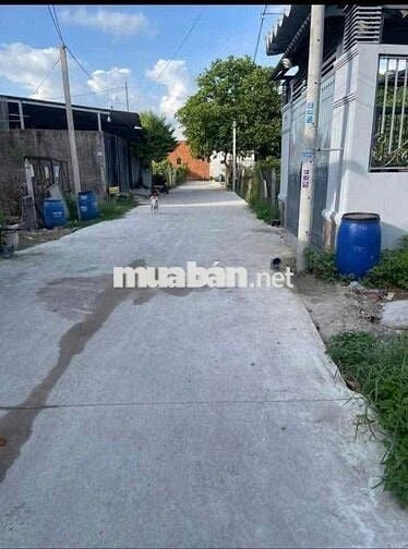 BÁN ĐẤT: 143m2 đất 1/ Cây Da - Tân Phú Trung SHR