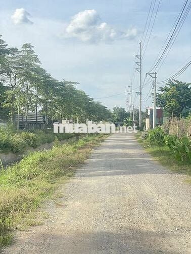🏭 BÁN KHO XƯỞNG 5000M² – THƯỜNG TÍN, HÀ NỘI 🏭