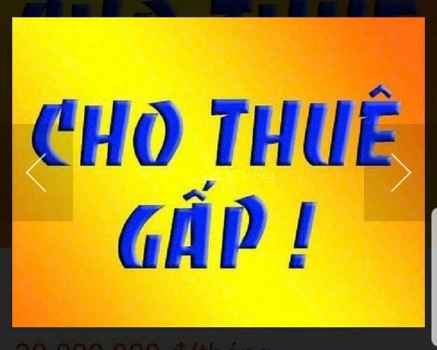 Cho thuê nhà mặt tiền trung tâm Phường Bến Thành Q1 dt:1000m giá 300tr