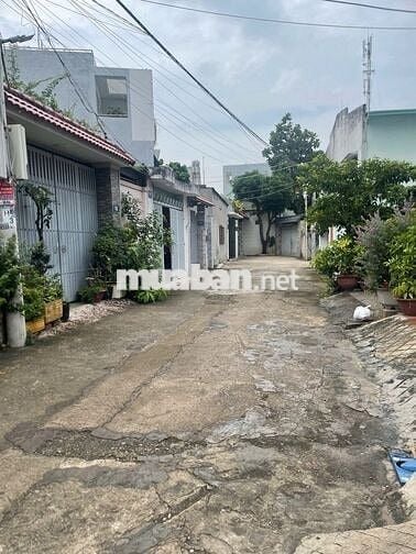 Đất trống full thổ cư. Hẻm 8 mét xe hơi quay đầu