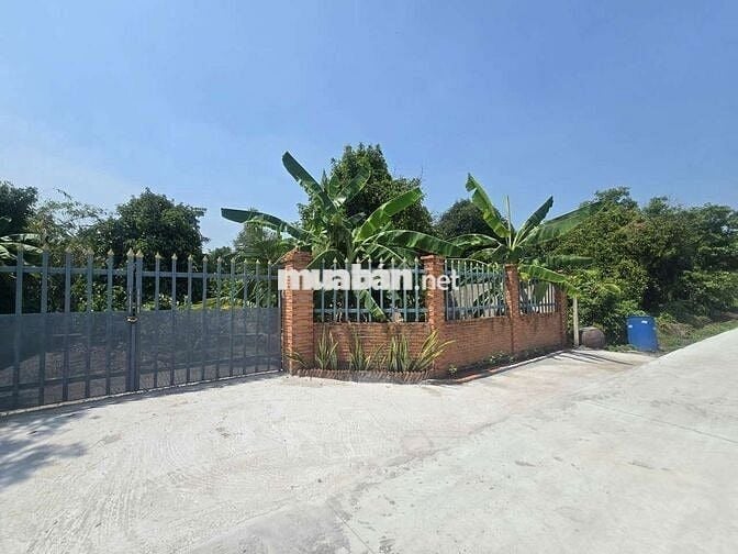 1985m2 đất có 600m2 thổ cư gần sông sài gòn bán 7.5 triệu m2