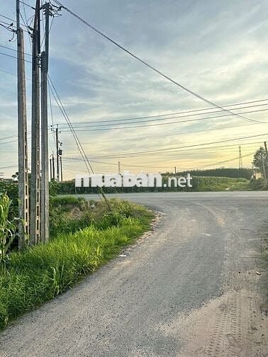 Đất Thổ Cư Cạnh Trường Học Cấp 1-2, Giá chỉ 3xx