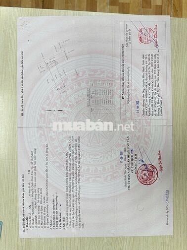 Chính chủ cần bán đất tại đường Hồ Ngọc Lãm
