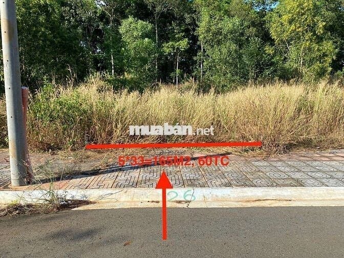 ĐẤT HẮC DỊCH, ĐƯỜNG NHỰA, VỊ TRÍ TIỀM NĂNG,