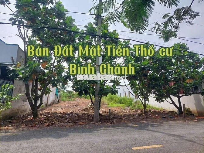 18m x 53m Mặt Tiền Trương Văn Đa, Bình Lợi, Bình Chánh