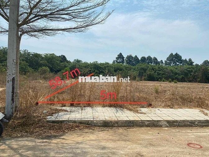 Thanh lý lô đất 290m2 tại Hắc Dịch, Phú Mỹ, BRVT giá chỉ 733 triệu