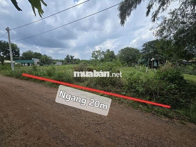 Bán đất QL55 biển BÌNH CHÂU – 1000m2 – 1,9 TỶ –CÓ 120m THỔ CƯ