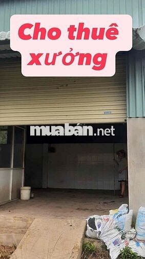 [CHO THUÊ XƯỞNG ]  Ngay KP An Phú, Trảng Bàng, Tây Ninh  Ngang 6m*35m