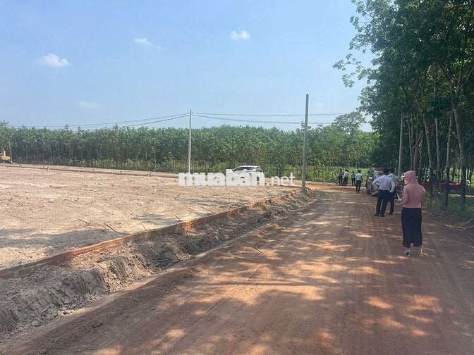 BÁN GẤP LÔ ĐẤT ĐẸP CHÍNH CHỦ – ĐƯỜNG LÒ GẠCH