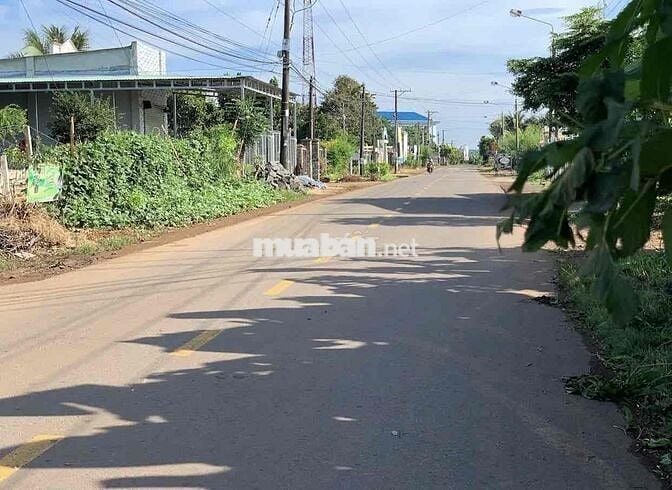 Bán nhanh lô đất 2.591m² Cây Gáo, Trảng Bom-Sổ Sẵn