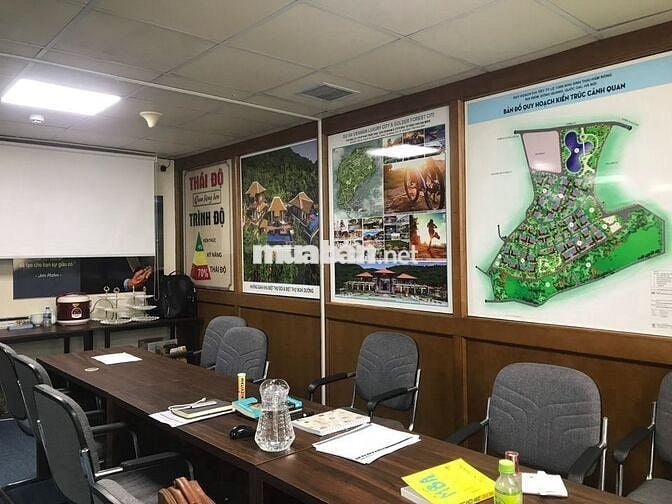 Siêu phẩm 35m² mặt đường Nguyễn Khang – Sàn đẹp, giá sốc!